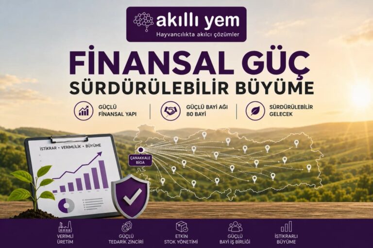Finansal Güç, Sürdürülebilir Büyüme