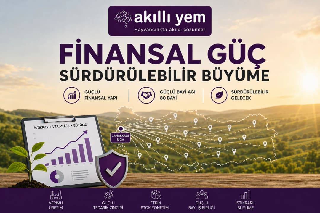 Finansal Güç, Sürdürülebilir Büyüme